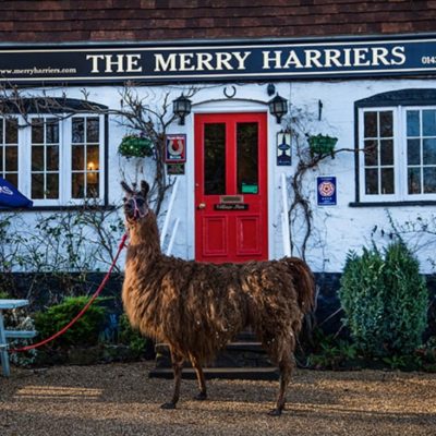 Merry Harriers pub
